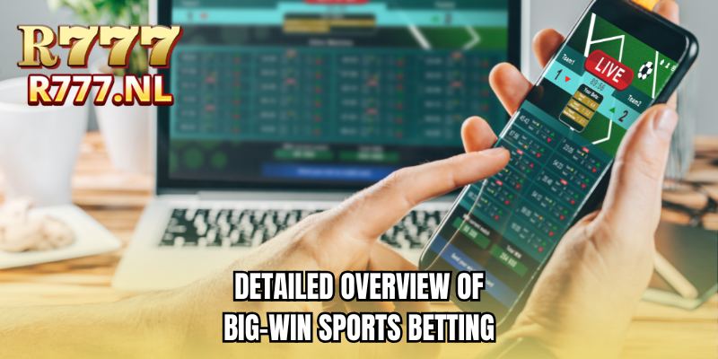 Detailed overview of big-win sports betting